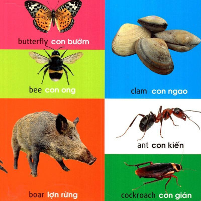 Sách 101 Từ đầu tiên Động Vật - Minh Long