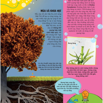 Khoa Học Ăn Được Không?