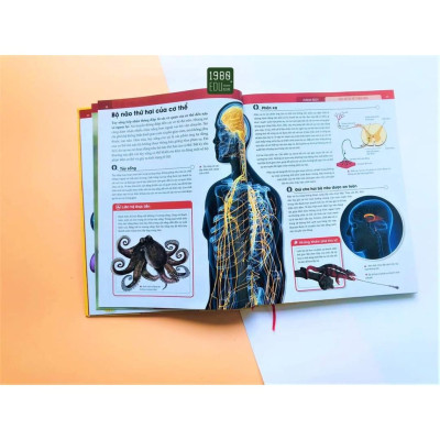 Sách - Human Body - Bách Khoa Toàn Thư Về Cơ Thể Của Chúng Ta - Bìa Cứng - 1980 Books