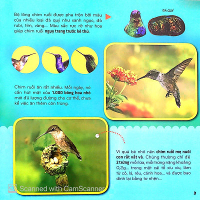 Sách - Bí Ẩn Thế Giới Loài Vật - Chim (Tái Bản 2025)