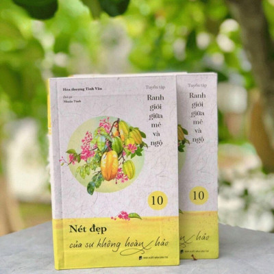 Sách - Nét Đẹp Của Sự Không Hoàn Hảo - Tập 10 - Tuyển Tập Ranh Giới Giữa Mê Và Ngộ - Vĩnh Nghiêm Books