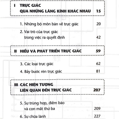 Khơi Nguồn Năng Lực Trực Giác - Intuition (VL)