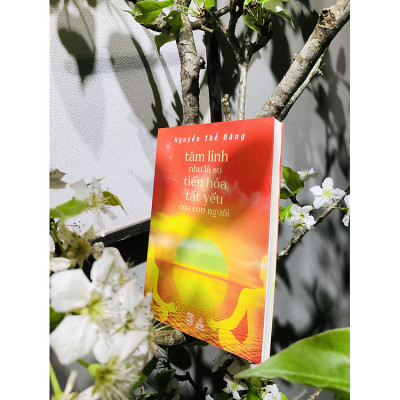 Tâm Linh Như Là Sự Tiến Hóa Tất Yếu Của Con Người