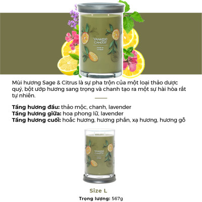 Nến ly tròn sáp đậu nành Yankee Candle size L (567g) - Sage & Citrus