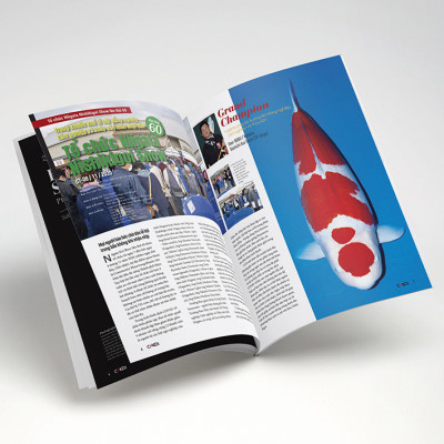 Cá Koi Vietnam - Tập 9