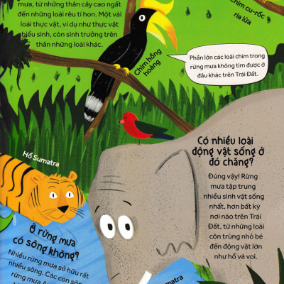 	Những Câu Hỏi Tò Mò Và Giải Đáp Thú Vị Về Rừng Mưa _HH