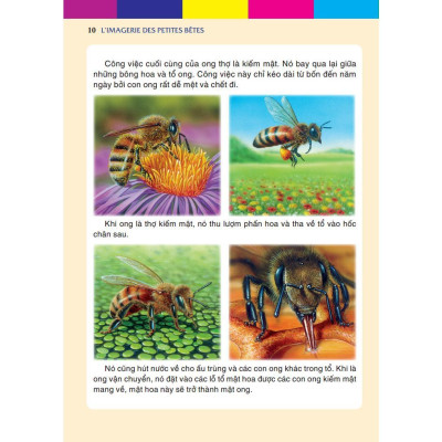 Sách - Những Con Vật Bé Nhỏ - Bìa Cứng - Minh Thắng