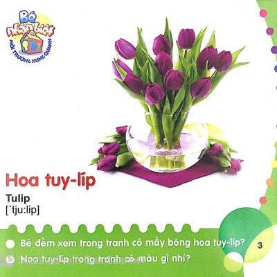 Bé Nhận Biết Môi Trường Xung Quanh - Hoa