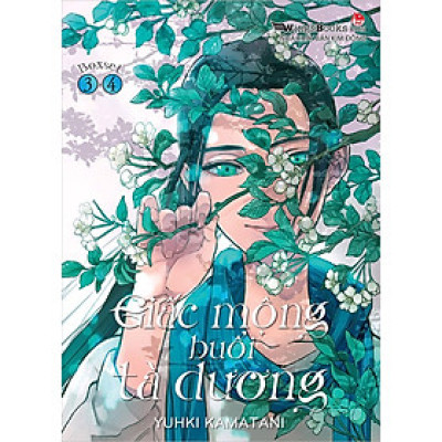 Sách - Giấc mộng buổi tà dương (boxset 2 tập Tập 3+4)