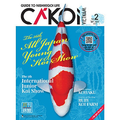 Cá Koi Vietnam - Tập 2