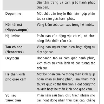 Sách Sức Bật Tinh Thần (Xuyên Qua Thất Bại Để Thành Công)
