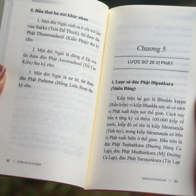 Lược Sử 25 Vị Phật - VN