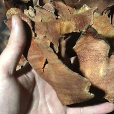 cây thổ phục linh đỏ đóng túi 1kg