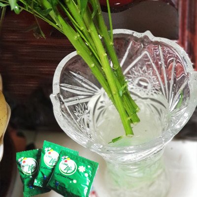 Bột Cắm Hoa ISRAEL (Combo 50 gói dưỡng hoa), Hiệu Longlife giữ hoa tươi lâu gấp 2 lần và 14 ngày không thay nước mới