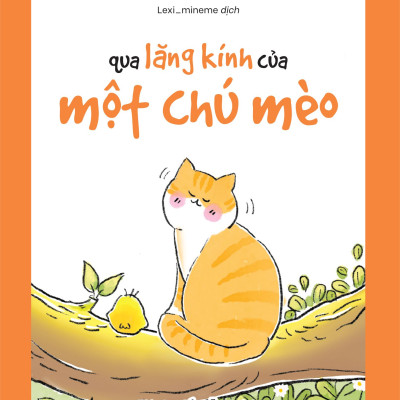 Qua Lăng Kính Của Một Chú Mèo