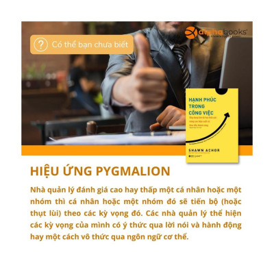 Sách Hạnh Phúc Trong Công Việc - Alphabooks - BẢN QUYỀN