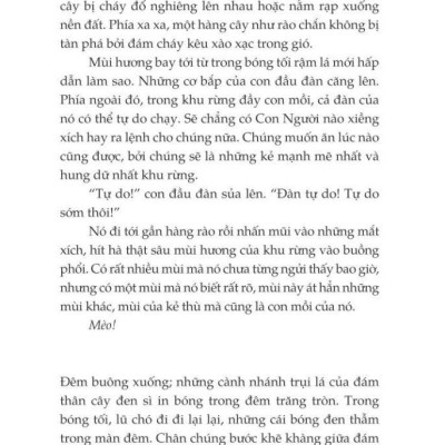 Mèo Chiến Binh - Con Đường Hiểm Nguy