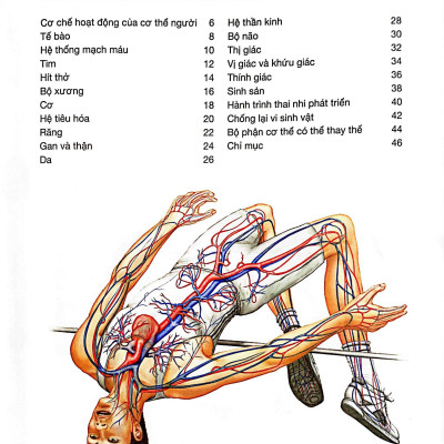 Hành Trình Khám Phá - Cơ Thể Người - Bìa Cứng