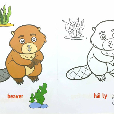 Tô Màu Động Vật Sống Dưới Nước - Song Ngữ Anh-Việt - Tập 3 (Tái Bản 2023)