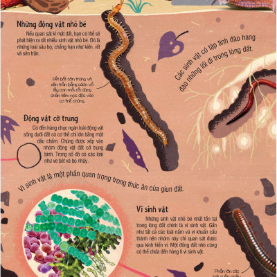 Under Your Feet - Dưới Đôi Bàn Chân Bạn - Đất, Cát Và Ti Tỉ Thứ Dưới Lòng Đất