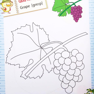 Dành Cho Trẻ Mầm Non - Tập Tô Màu Mẫu Giáo - Chủ Đề Quả (Tái Bản 2022)