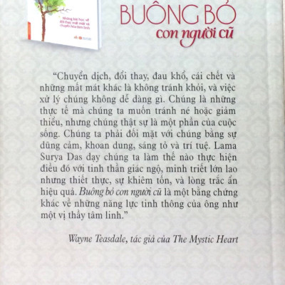 Buông Bỏ Con Người Cũ