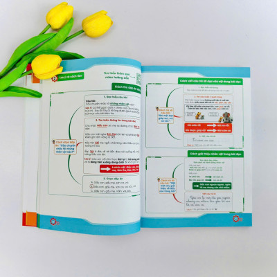 Combo 2 sách Chinh phục điểm 10 đề kiểm tra học kì Tiếng việt và Toán 2(KNTT)