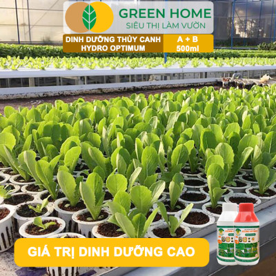 Dung Dịch Thủy Canh Hydro Optimum, GreenHome, Bộ 2 chai 500ml, Dinh Dưỡng Thủy Canh Rau Ăn Lá, Hữu Cơ
