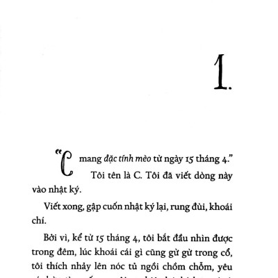 Khởi Đầu Là Mèo