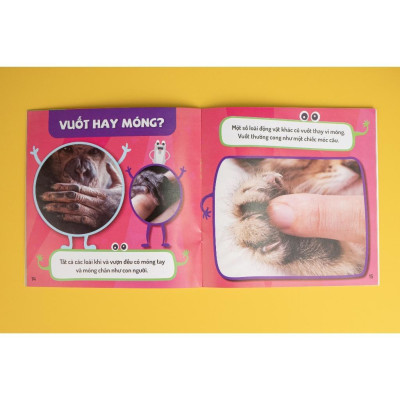 Sách - Em Yêu Cơ Thể - Combo 5 Chủ Đề - Đinh Tị Books