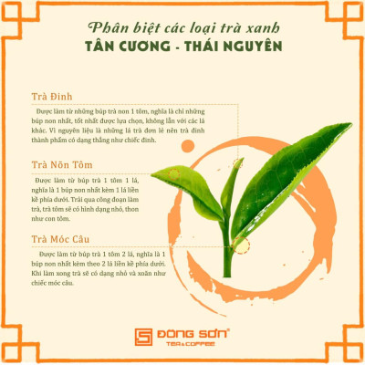 Trà Xanh Thái Nguyên [ Đinh Tân Cương ] Gói 100g, Hương cốm mới, hậu ngọt dịu - Đông Sơn