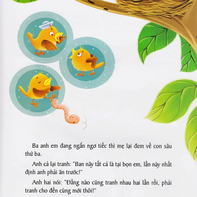 Vườn Ươm Tính Cách - Tình Cảm Và Trách Nhiệm