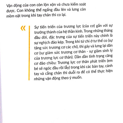 Chuyến Phiêu Lưu Của Những Bước Đi