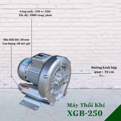 Máy Thổi Khí Con Sò Công Nghiệp ABG XGB-250 W Công Suất Nhỏ, Bơm Khí Tạo Oxy Cho Hồ Nuôi Thủy Hải Sản, Sấy Nông Sản, Làm Mát Các Loại Máy Lớn – Hàng Chính Hãng