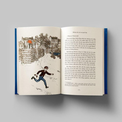 Sách - Những Cậu Con Trai Phố Pál - Bìa cứng - Đông A