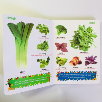 Sách – Từ Điển Tranh về Rau - Củ -  Quả - Hoa