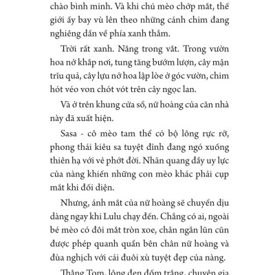 Sách - Những Con Mèo Sau Bức Tường Hoa