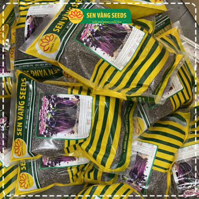 Hạt Giống Rau Mầm Malady - Nhập khẩu Ý, nảy mầm >95%, siêu dinh dưỡng, chuẩn màu tím đậm, dễ trồng - HẠT GIỐNG SEN VÀNG