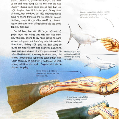 Hành Trình Khám Phá - Cơ Thể Người - Bìa Cứng