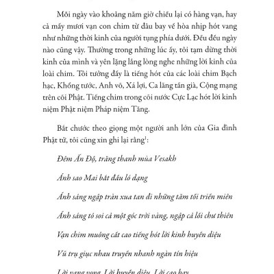 Hạt Nắng Bồ Đề