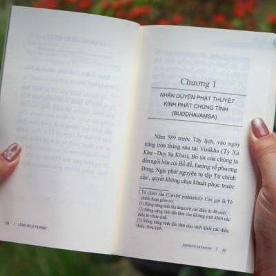 Lược Sử 25 Vị Phật - VN