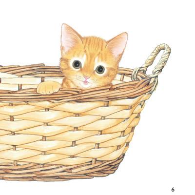 Sách - Sách Ehon - Ú Òa! - Mèo Đâu Rồi? - Bìa Cứng