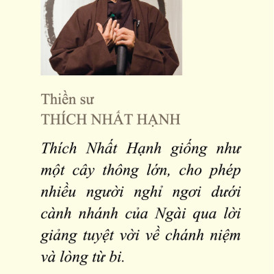 How To Walk - Đi Sao Cho Vững Vàng (Sách Bỏ Túi)