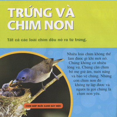 Cuốn Sách Lớn Đầu Tiên Của Tớ - Chim - Bìa Cứng (Tái Bản 2024)