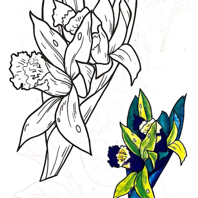 Tập Tô Màu Các Loại Hoa