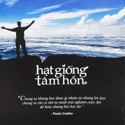 Hạt Giống Tâm Hồn - Tập 11: Những Trải Nghiệm Cuộc Sống