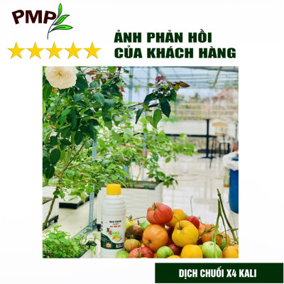 Combo 2 Chai Dịch Chuối Humic PMP Vi Sinh Chuyên Dùng Cho Hoa Hồng, Rau Sạch 1L/Chai