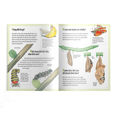Em muốn biết vì sao (Bộ mới) - Sâu bướm ăn nhiều và những câu hỏi khác về sự sống 