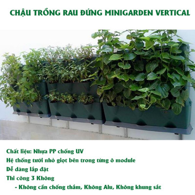 CHẬU MODULE TRỒNG RAU BAN CÔNG NHẬP KHẨU BỒ ĐÀO NHA (1 BỘ gồm 1 Module + Nắp đậy + 6 nút khóa)