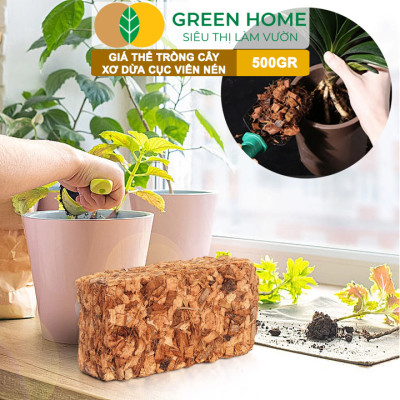 Xơ Dừa Cục Greenhome, Viên 500gr, Sơ Dừa Nén, Nở Gấp 5 Lần, Kích Thích Rễ, Thoát Nước Tốt Giá Thể Kiểng Lá, Phong Lan